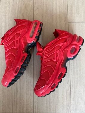 Nike Sneakers (Air Max)